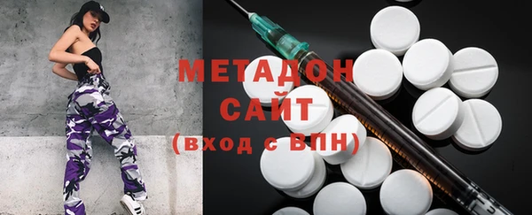 ГАЛЛЮЦИНОГЕННЫЕ ГРИБЫ Дмитриев