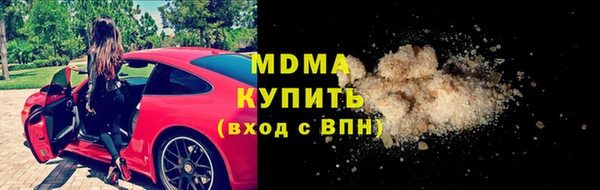 ГАЛЛЮЦИНОГЕННЫЕ ГРИБЫ Дмитриев