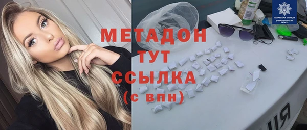 ГАЛЛЮЦИНОГЕННЫЕ ГРИБЫ Дмитриев