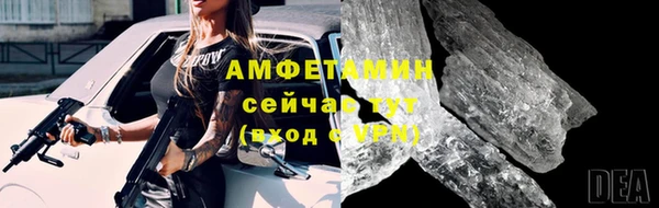 ГАЛЛЮЦИНОГЕННЫЕ ГРИБЫ Дмитриев