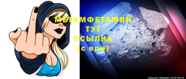 ГАЛЛЮЦИНОГЕННЫЕ ГРИБЫ Дмитриев