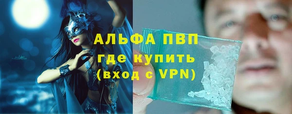 ГАЛЛЮЦИНОГЕННЫЕ ГРИБЫ Дмитриев
