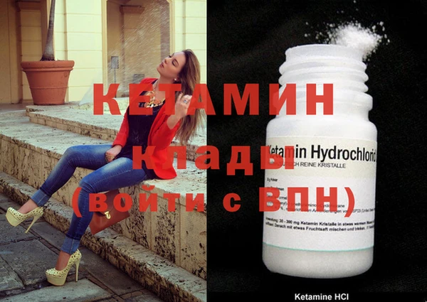 ГАЛЛЮЦИНОГЕННЫЕ ГРИБЫ Дмитриев