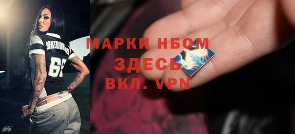 ГАЛЛЮЦИНОГЕННЫЕ ГРИБЫ Дмитриев