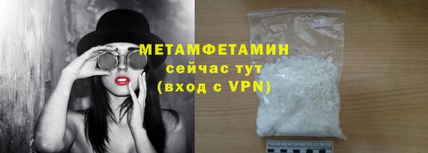 ГАЛЛЮЦИНОГЕННЫЕ ГРИБЫ Дмитриев