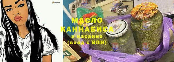 ГАЛЛЮЦИНОГЕННЫЕ ГРИБЫ Дмитриев