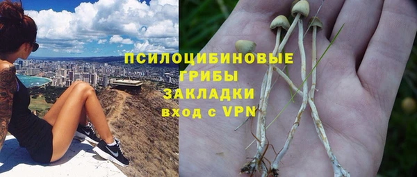 ГАЛЛЮЦИНОГЕННЫЕ ГРИБЫ Дмитриев