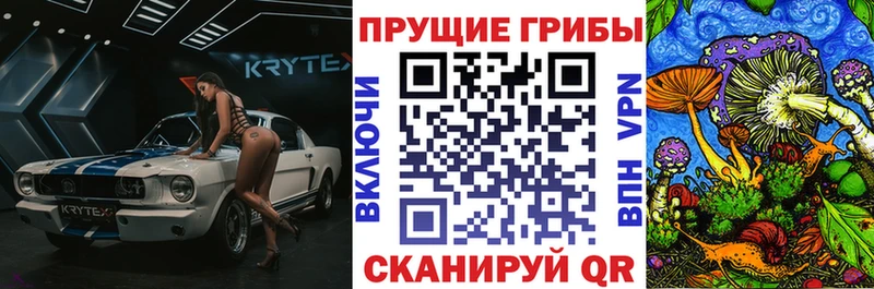 купить  сайты  Звенигород  нарко площадка Telegram  Псилоцибиновые грибы Magic Shrooms 